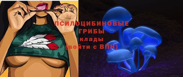 индика Покровск