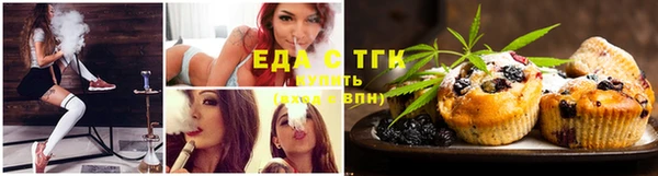 индика Покровск