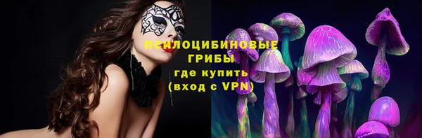индика Покровск
