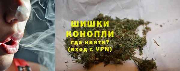 индика Покровск