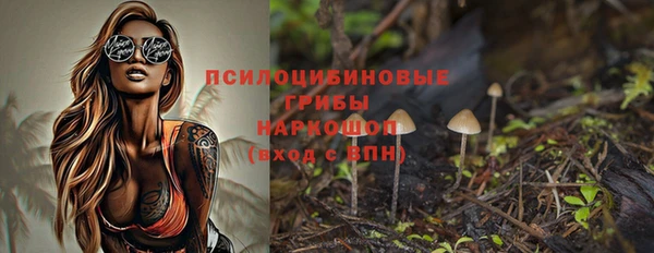 индика Покровск