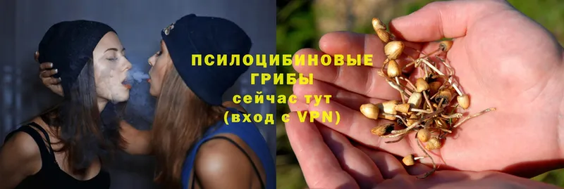 Псилоцибиновые грибы прущие грибы  shop официальный сайт  Армянск 